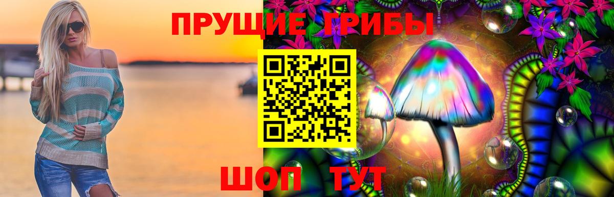 Жуковский  Галлюциногенные грибы MAGIC MUSHROOMS  Вход с VPN  Галлюциногенные грибы GOLDEN TEACHER 